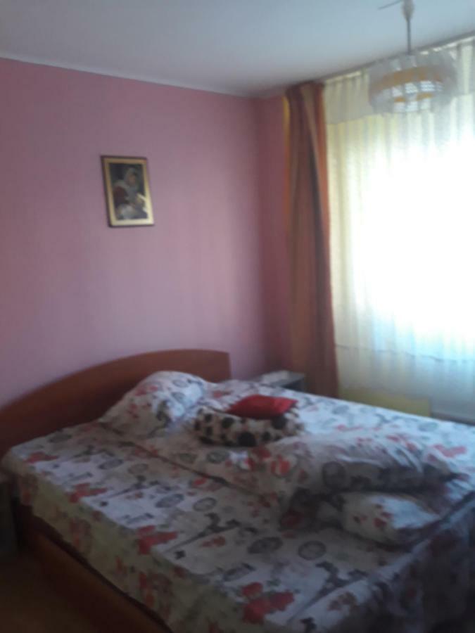 Apartament Aurora Slănic-Moldova エクステリア 写真